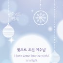 참빛 이미지