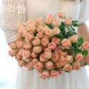 제이블라썸 네이버블로그