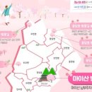 용담면 벚꽃길 이미지