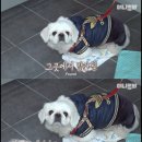 설기 미용실
