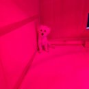 한증막펜션 이미지