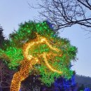 달빛사냥 이미지