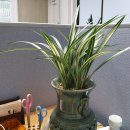 행정사 김동진 사무소 이미지