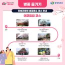 창성상사 | [진해 여행] 벚꽃축제 진해군항제, 숨겨진 진해 웅천 벚꽃 숲 (주차, 포토존 꿀팁 가득)