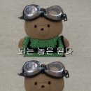 뉴멕시칸 이미지