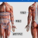 솔레노어 PT STUDIO 이미지