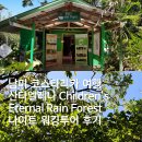 나비호스텔 | 남미 코스타리카 여행 산타엘레나 Children&#39;s Eternal Rain Forest 나이트 워킹 투어 후기
