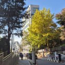 서리풀공원 | [독서모험] 방배숲환경도서관 | 도심 속 숲에서 북캉스 즐기기 | 서리풀공원 근처 가볼만한 곳