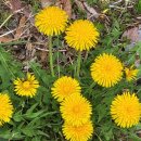 추대농장 이미지