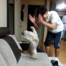 태주글로벌 | 25 MAR, APR, MAY, JUN...