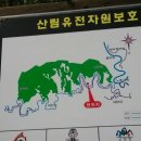 진부1교 | 덕산기 계곡