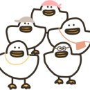 교룡로 이미지
