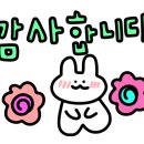 폴리프라자Ⅱ 이미지