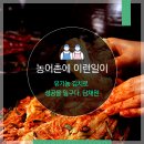 담채원 티스토리