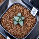 기특이네 농장 이미지