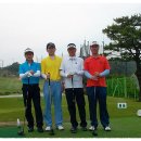 가야스크린 이미지