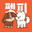 르노삼성자동차(주)여수정비센타 | 여수 2025 펫페어 (펫친소) &amp; 여수 비치 페스타 (워터 대첩) 애견 동반 OK