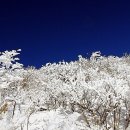 2월7일 토요일 설악산 대청봉 산행안내 이미지