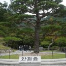 소문난칼국수 이미지