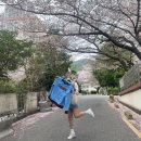 041-1 | [사직야구장] 중앙탁자석 041블럭 1열 직관 후기