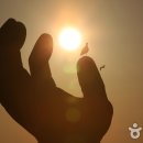 정동진2리 이미지