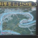 송이표구사 이미지