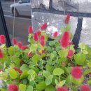 한림정역 이미지