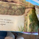 여름엔 즐거운 책놀이 이미지