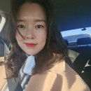 라미스헤어계대 이미지