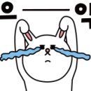 대일 합기도 체육관 이미지