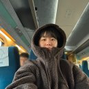 깁밥세상 | 온 세상이 Upside down _ 3월일상 (2)