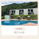 가성비좋은 깨끗한 가족펜션 울산 스테이소소재 내돈내산 방문후기