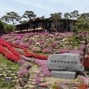 용봉산자연휴양림 이미지