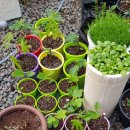 운도농장 이미지