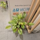 제이소담