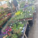 송해농장 이미지