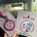 임신기록 / 임신초기 증상(임신~임신 14주)