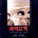 태백산맥 (太白山脈, 1994) 이미지