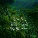 (전세버스)대구 34인승 관광버스 대절해드립니다~~^^ 이미지