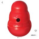 대형견도 오래 가지고 노는 장난감 🐶 콩(KONG) 노즈워크 장난감 후기