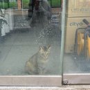 산청군농협본점하나로마트 이미지