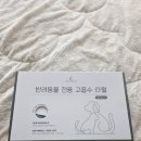 아뮤펫 | 강아지 고양이를 위한 프리미엄 펫타월 추천 압도적인 흡수력 ‘아뮤어스 펫타월’ 사용 후기