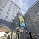 라스칼라 | 대천카페 망고빙수맛집 오션뷰카페 라스칼라 후기