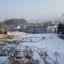 여주-0482 이미지