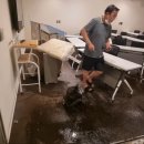 홍수식당 이미지