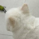 [마곡네일] 고퀄리티 이달의 아트 맛집 아이쿵뷰티