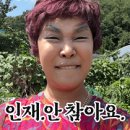 더쉐어