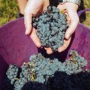 율현농장 이미지