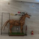 한강스파24시 사우나 이미지