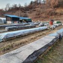 벧엘 양봉 이미지